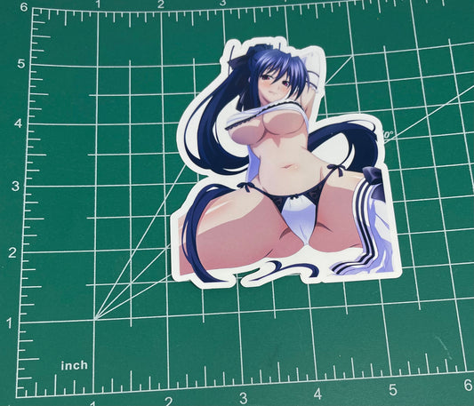 Anime vinyl sticker #99 Sexy High School DxD