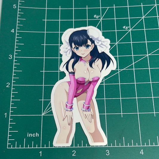 Anime vinyl sticker #110 Sexy High School DxD